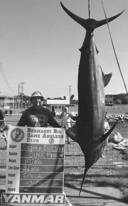 Steve from Merimbula with his first marlin, a 197kg blue taken on 24kg stand-up tackle, a remarkable capture with only he and his wife aboard the boat.